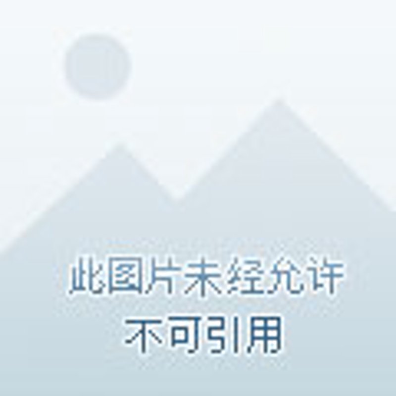 如何为你的莱芜本地企业打造一个专业且吸引人的网站?